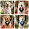 Formal Dog Bow Tie Collar Bandana For Weddings And Parties 3