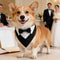Formal Dog Bow Tie Collar Bandana For Weddings And Parties 4