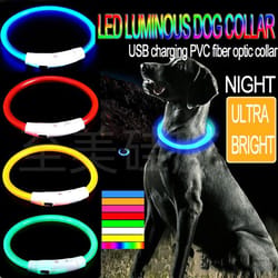 glowing led dog collar for night safety and visibility