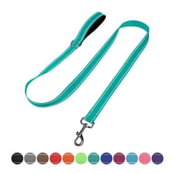 reflective dog harness and training leash