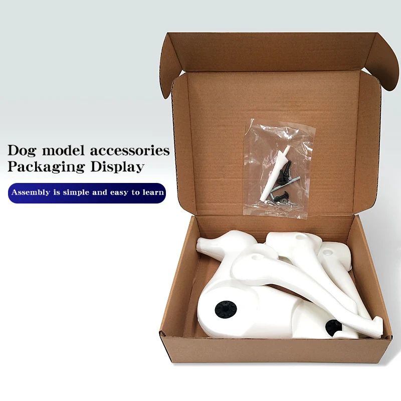 Pet Grooming Practice Dog Model For Training And Styling 5