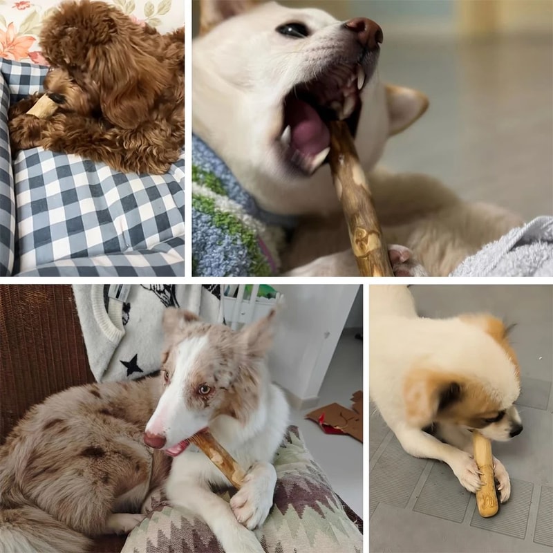 Natural Coffee Wood Dog Chew Stick For Dental Care And Teething Relief 3