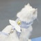 Angel Wing Pet Harness And Leash Set For Dogs And Cats 1