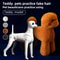 Professional Teddy Dog Grooming Practice Mannequin For Pet Groomer Training 0