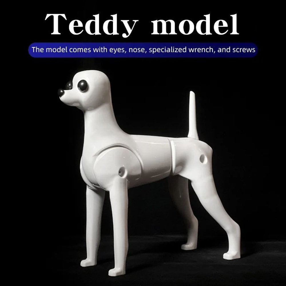 Professional Teddy Dog Grooming Practice Mannequin For Pet Groomer Training 5