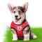 AirFit Breathable Pet Harness And Leash Set 4