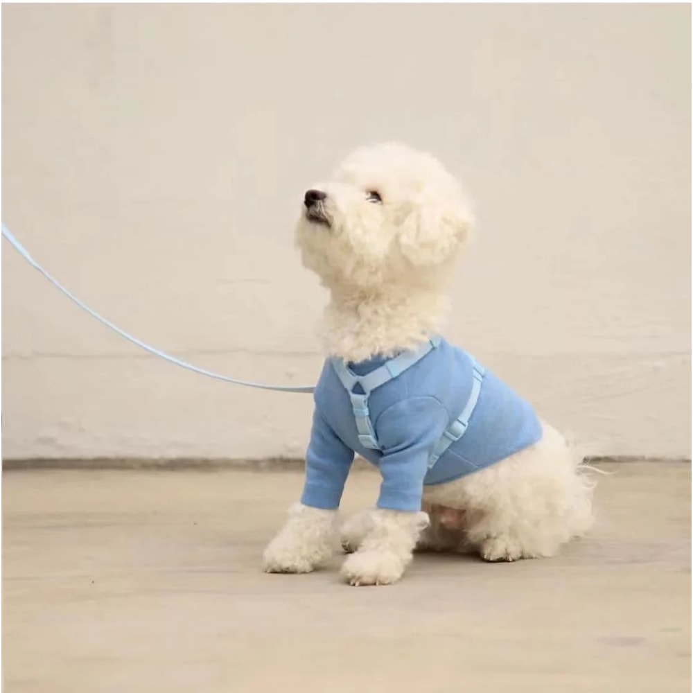 Macaron Adjustable Dog Harness And Leash Set For Small And Medium Dogs 3