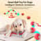 Smart Interactive Rolling Dog Ball Toys 4