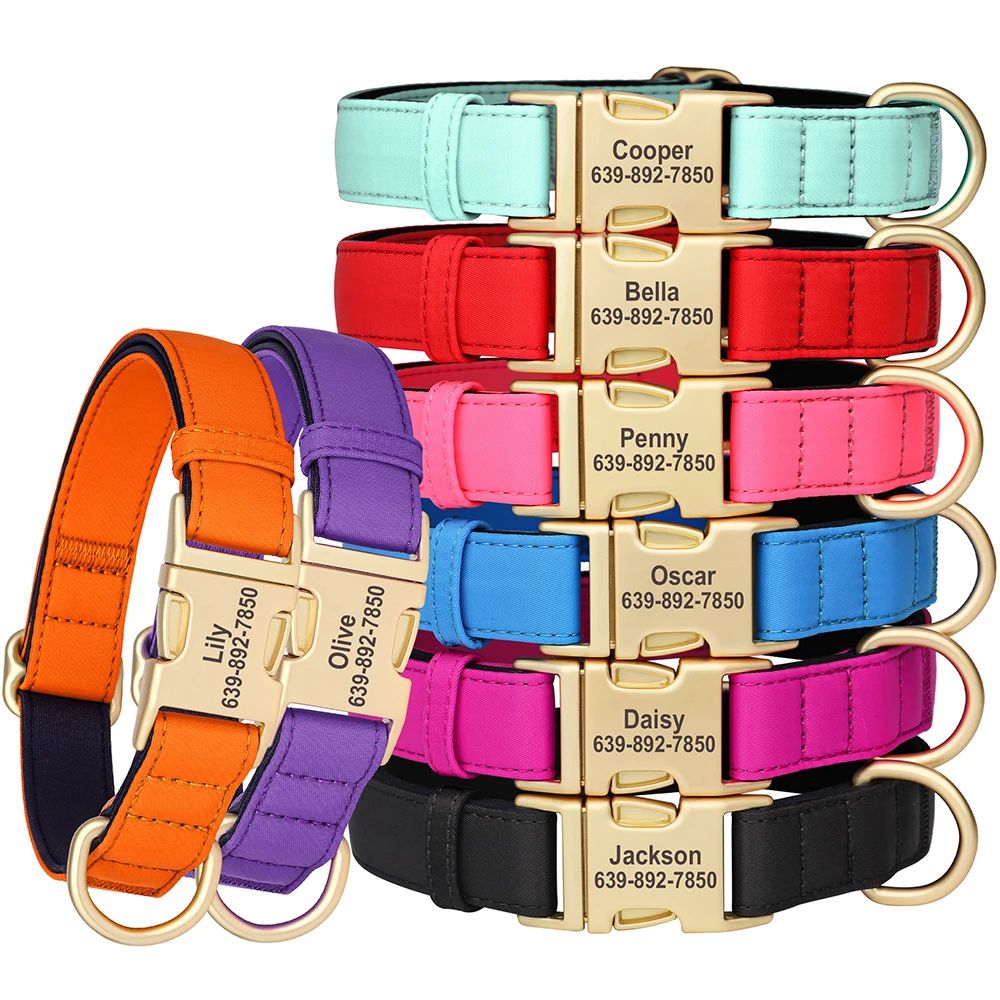 Personalized Waterproof Dog Collar With Soft Padding 1