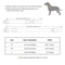 Personalized Waterproof Dog Collar With Soft Padding 5