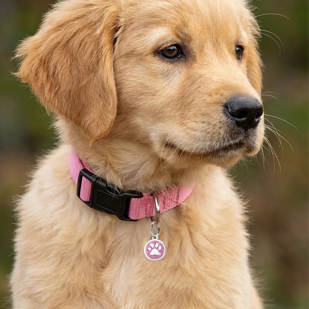 Personalized Paw Print Pet ID Tag Engraved Dog And Cat Collar Pendant 4