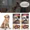 Ultrasonic Pet Tooth Scaler Electric Dog And Cat Dental Cleaning Kit 3