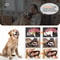 Ultrasonic Pet Tooth Scaler Electric Dog And Cat Dental Cleaning Kit 3