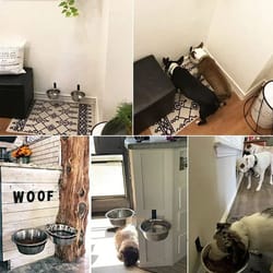 wall mounted elevated pet feeding bowl stainless steel dog and cat feeder