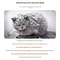 WarmShield Waterproof Outdoor Pet House 3