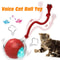 RolliePaws Smart Interactive Cat Ball Toy 1