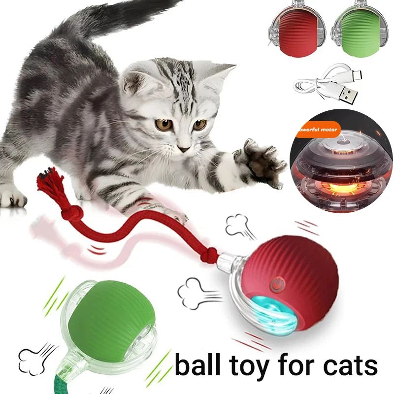 RolliePaws Smart Interactive Cat Ball Toy 3