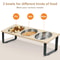 ComfortTilt Elevated Cat Bowls Set 2
