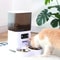 SmartServe Automatic Cat Feeder With Camera 2