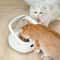 Petoneer NutriCare Smart Multi Pet Feeder 4