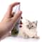PurrFresh Natural Catnip Spray For Cats 2