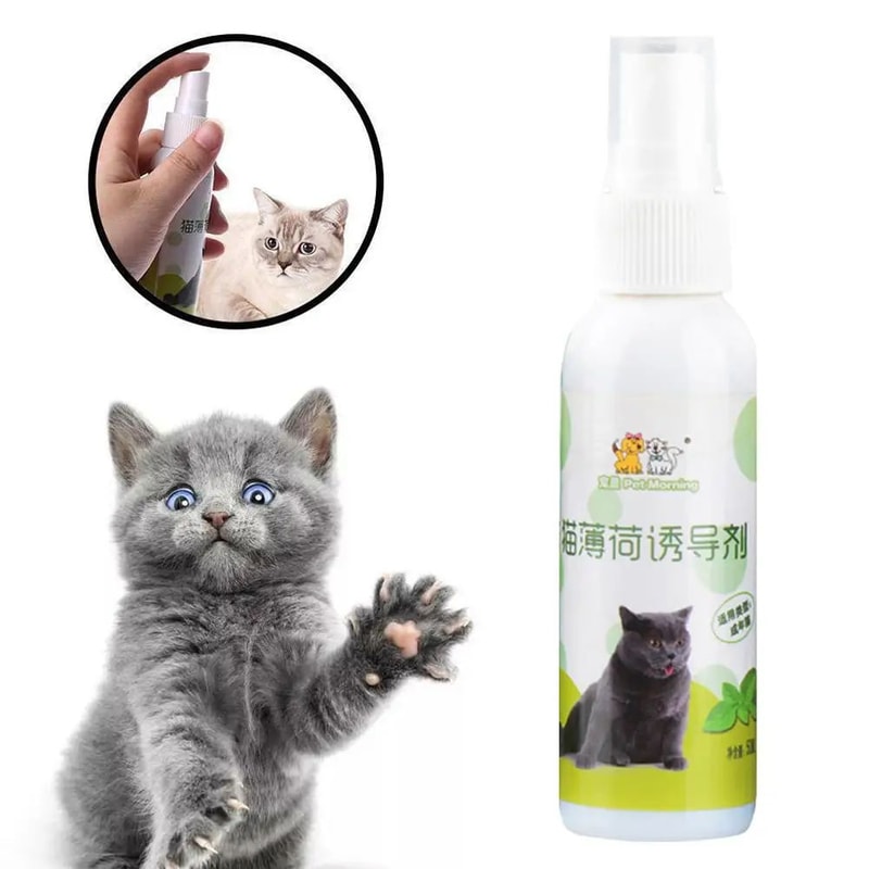 PurrFresh Natural Catnip Spray For Cats 3