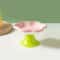 BloomPaws Elevated Ceramic Pet Bowl 7