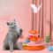 TripleSpin Interactive Cat Ball Track Toy 8
