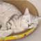 Oval Cat Scratching Board Corrugated Cat Scratcher Bed 3