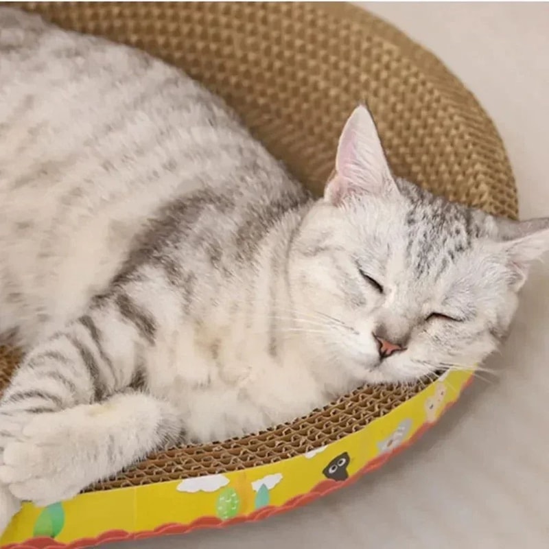 Oval Cat Scratching Board Corrugated Cat Scratcher Bed 3