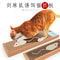 Oval Cat Scratching Board Corrugated Cat Scratcher Bed 5