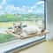 Ultra Soft Cat Window Hammock Bed With Secure Window Mount 9