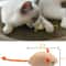 Rattle Cat Mouse Toys With Catnip For Indoor Cats 1