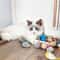 Rattle Cat Mouse Toys With Catnip For Indoor Cats 2