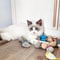 Rattle Cat Mouse Toys With Catnip For Indoor Cats 2