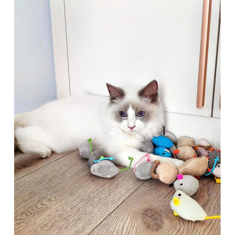 Rattle Cat Mouse Toys With Catnip For Indoor Cats 2