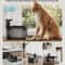 PureFlow Wireless Cat Water Fountain 25L 1