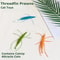 Catnip Prawn Cat Toy For Interactive Play And Chewing 0