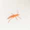 Catnip Prawn Cat Toy For Interactive Play And Chewing 3