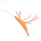 Catnip Prawn Cat Toy For Interactive Play And Chewing 7