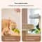 Interactive Bird Cat Toy With Realistic Sound And Catnip 2