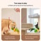 Interactive Bird Cat Toy With Realistic Sound And Catnip 2
