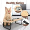 Elevated Cat Bowls With Tilted Stand And Stainless Steel Dishes 4