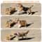 Adjustable Elevated Cat Bowl Stand With Stainless Steel Bowls 1