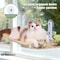 Foldable Window Cat Hammock Bed With Suction Cups 2