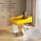 Transparent Automatic Pet Water Fountain With Flowing Water System 3