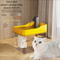 Transparent Automatic Pet Water Fountain With Flowing Water System 3