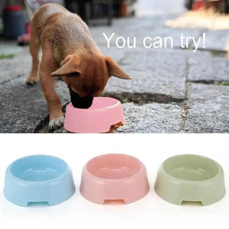 CandyPaws Pet Feeding Bowl Colorful Cat And Dog Food Bowl 1