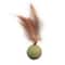 MintyPaws Catnip Ball Interactive Cat Chew Toy 6