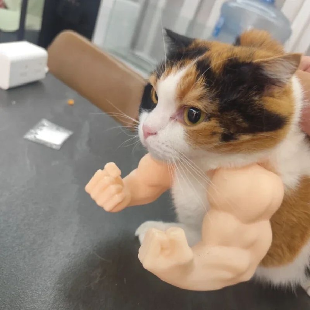 MusclePaw Funny Cat Arm Pendant Necklace Costume Accessory 3